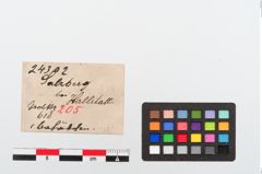 Etiketten zu Bronzehaken (NHMW-PRAE-024302)